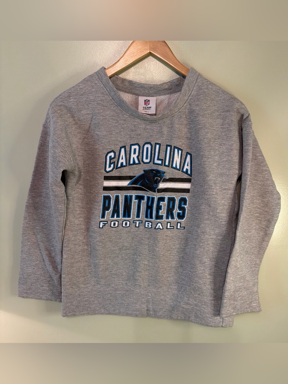 Carolina Panthers Girls NFL Sweatshirt – Gray – Size L (10/12)
